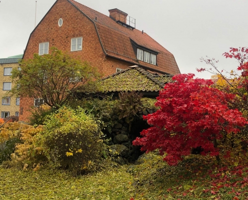 Konferens på Villa Pilbo Västerås